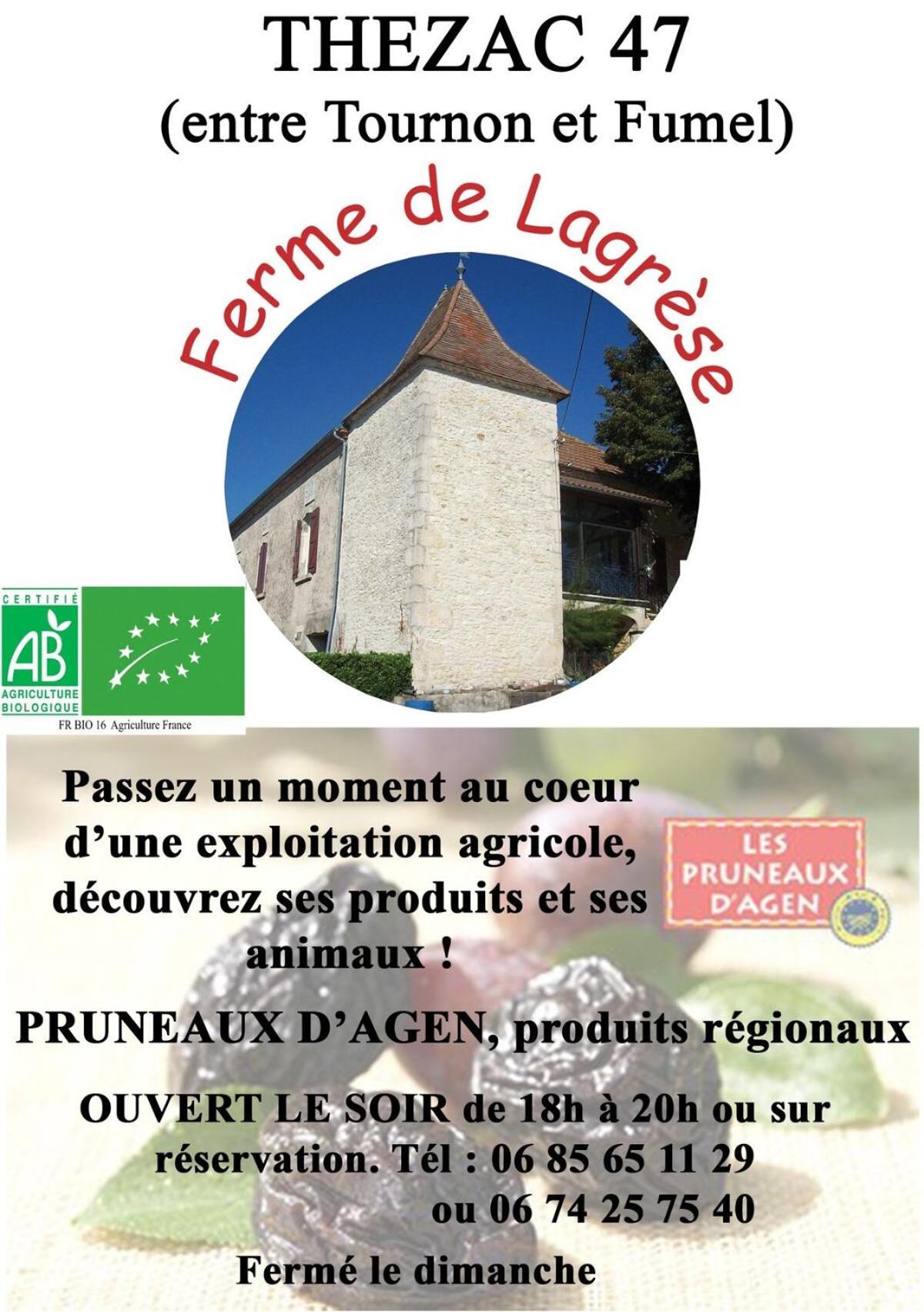 Gite De Coustals Thezac  Exterior photo